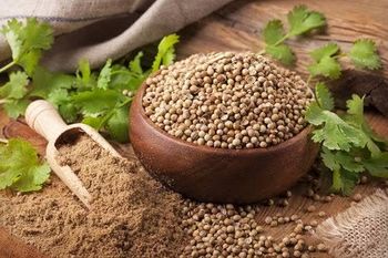 Premium Indian Whole Coriander Seeds & Pure Powder | Eagle, Scooter & Badami Varieties | Export Quality - BASANT GLOBAL EXIM - India